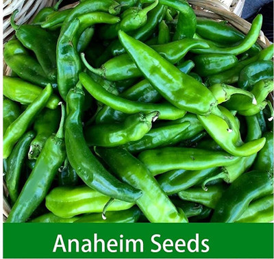 Qualtivate HUA-8A Anaheim Chilli Seed(300 per packet)