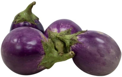 UGRA BRINJAL SEEDS PURPLE ROUND Seed(250 per packet)