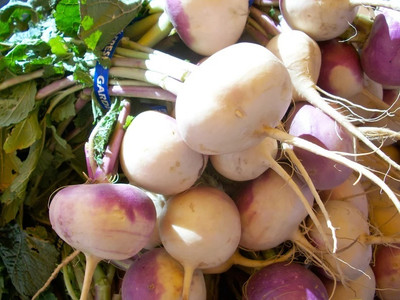 MYLAWN Turnip Seeds (Purple Queen) Seed(1000 per packet)