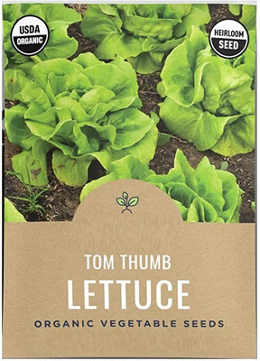 CYBEXIS VVI-89 - Tom Thumb Lettuce - (1350 Seeds) Seed(1350 per packet)