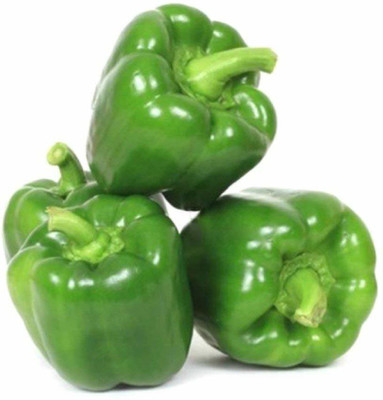 CYBEXIS XL-80 - Capsicum Green ANDHRA-115 - (1350 Seeds) Seed(1350 per packet)