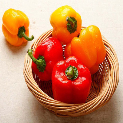 CYBEXIS Yellow Red Mixed Capsicum Seeds2400 Seeds Seed(2400 per packet)