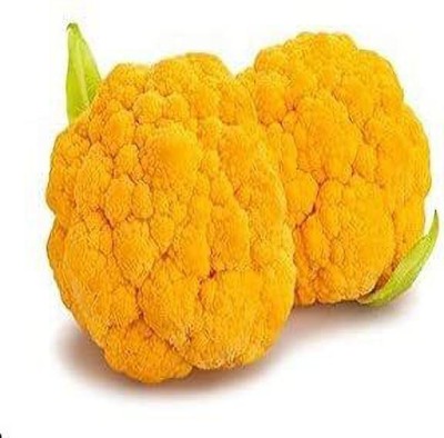 Lorvox Yellow cauliflower Gobi Seed(50 per packet)