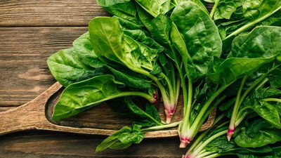 MYLAWN High Quality Spinach Palak Seed(1500 per packet)
