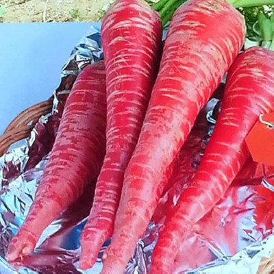 Flipkart SmartBuy Carrot Red Long Seed(30 per packet)
