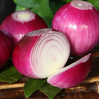 Quentova Red Onion Super Nasik-XLI-8E Seed(250 per packet)