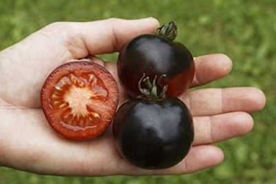 Aywal Tomato Cherry Indigo Rose(Black) Seed(275 per packet)