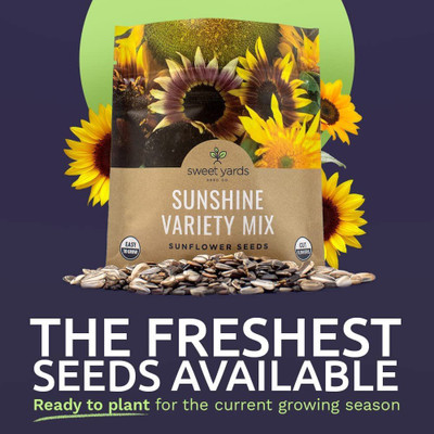 CYBEXIS VXI-2 - Mix 10 Types of Beautiful Sunflowers - (1350 Seeds) Seed(1350 per packet)