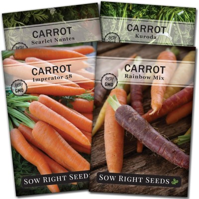 Qualtivate HUA-8A Rainbow, Nantes, Imperator, and Kuroda Carrot Seed(300 per packet)