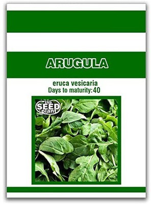 CYBEXIS TLX-92 - Arugula for Planting - (2250 Seeds) Seed(2250 per packet)