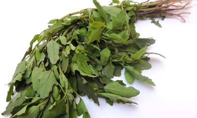 ITTUMM Bathua (Chenopodium) Seed(500 per packet)
