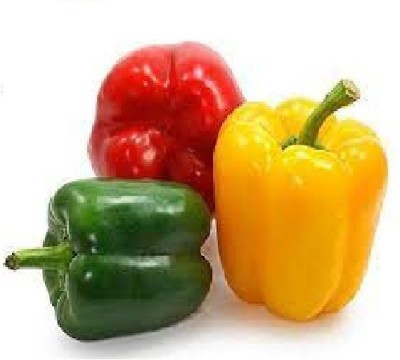 wequality Hybrid mix Capsicum seed,capsicum live plant seeds,bell peppers Seed(50 per packet)