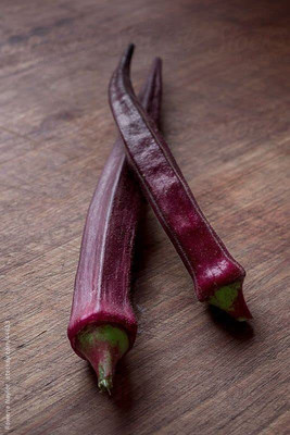 KANAYA Okra Bhindi Hybrid Seed(90 per packet)