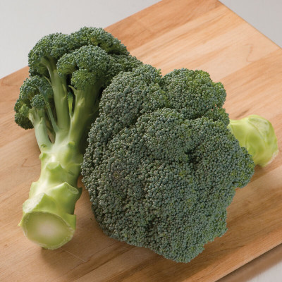 the green dotcom Broccoli seeds for planting Seed(15 per packet)