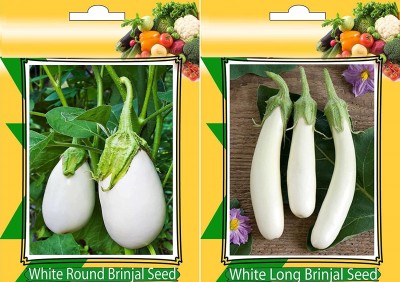 CRGO ® RDX-298-White Round and White Long Brinjal Vegetables Seeds Seed(200 per packet)