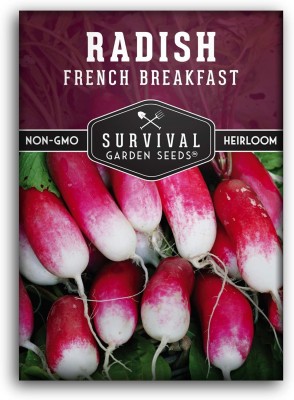 Qualtivate HYB-8A French Breakfast Radish Seeds Seed(300 per packet)