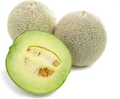 Quentova Honeydew - Organic & Non Gmo Muskmelon-HUA-5U Seed(150 per packet)