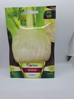KNESSiN Large Round Bulbs Fennel Seed(200 per packet)