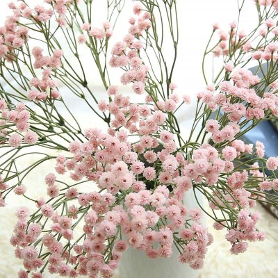 Aywal Gypsophila (Snow Flakes) Flower Seeds Ornamental Plant Flower Seed(80 per packet)