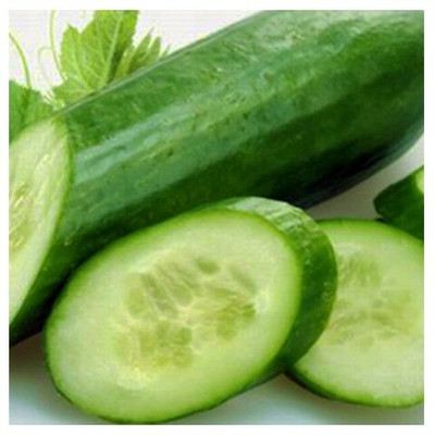 Avysa CUCUMBER PIPENEX F1 HYBRID-CuC_1876 Seed(1000 per packet)