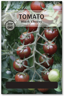 Quentova Tomato Seeds Seed(2000 per packet)