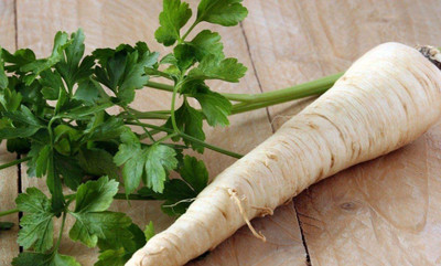 CYBEXIS XLR-74 - Parsley Sugar Root - (2250 Seeds) Seed(2250 per packet)