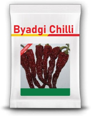 WILLVINE HUA -V 92 Chilli seeds | Byadgi chilli[1gm, 200 Seeds] Seed(200 per packet)