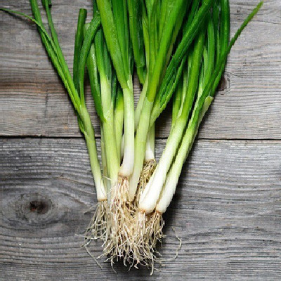 Finiox Bunching onion Seed(50 per packet)