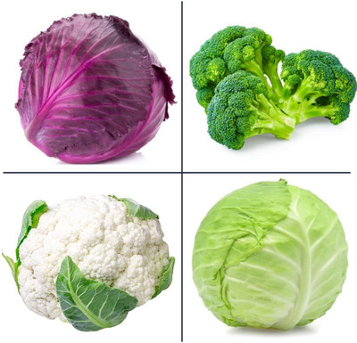 DIVINE CABBAGE Seed(100 per packet)