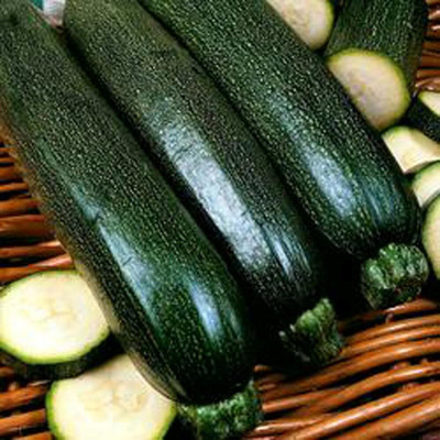 Qualtivate XL-14 Squash Long Dark Green Seeds Seed(100 per packet)