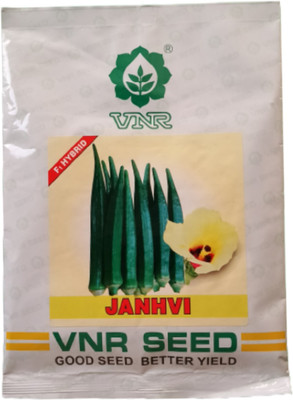 the green dotcom VNR OKRA SEED 100G Seed(60 per packet)