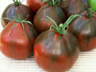Biosnyg Organic Black Truffle Japanese Tomato Seeds For Planting - (2000 Seeds) Seed(2000 per packet)