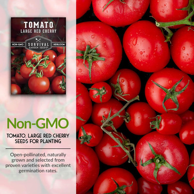 Qualtivate ICRA6-A Large Red Cherry Tomato Seed(300 per packet)