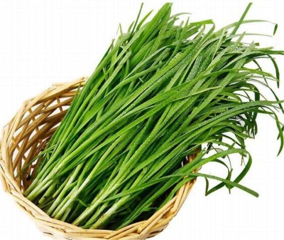 VibeX XLL-35 - Garlic Chives (Allium tuberosum) - (750 Seeds) Seed(750 per packet)