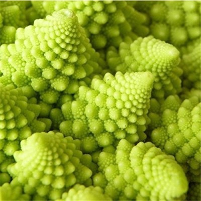 Qualtivate XXX-9A Romanesco Italia Broccoli Seeds Seed(300 per packet)