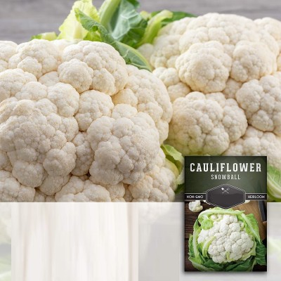 Qualtivate DXL-2AT Cauliflower White Gem Seeds Seed(300 per packet)