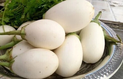 MSG White Brinjal, Safed Baingan, Sada Begun Seed(300 per packet)