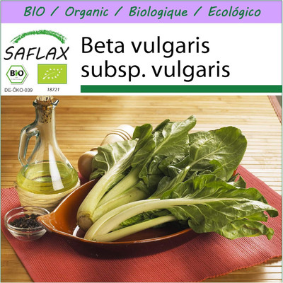 LPR SPINACH , PALAKH Seed(100 per packet)