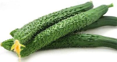 Qualtivate GBPT-3A Cucumber Seeds-China Long Hybrid Seed(300 per packet)