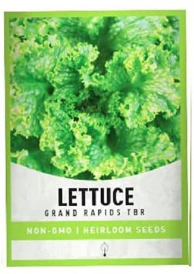 VibeX ® RXI-269 Grand Rapids Lettuce Seed(200 per packet)