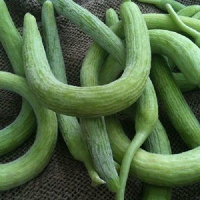 CYBEXIS GUA-15 - European Cucumber- Kakri - (450 Seeds) Seed(450 per packet)
