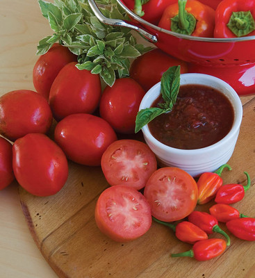 CYBEXIS TLX-92 - Salsa Tomato - (150 Seeds) Seed(150 per packet)