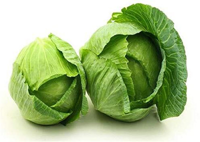 WILLVINE HAR -VI Kobi Seeds - Cabbage Seeds Heirloom [5g] Seed(1500 per packet)