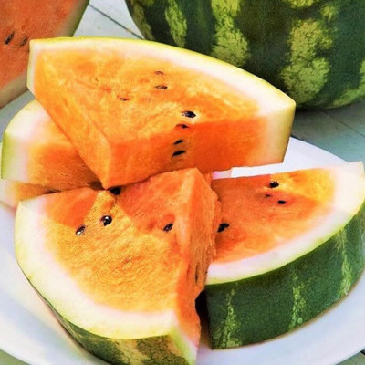 KNESSiN Tendersweet Orange Watermelon Seeds For Kitchen Gardening-(100 Seeds) Seed(100 per packet)