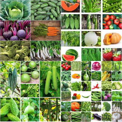 ibains Vegetable seeds combo pack biij 200 Seed(200 per packet)