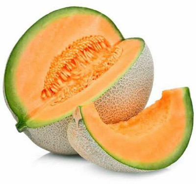 MRCY Muskmelon Seeds (Kharbuja)/खरबूजे के बीज Seed(500 per packet)