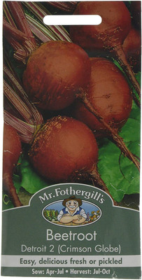 CYBEXIS Beetroot Detroit 2 (Crimson Globe)2000 Seeds Seed(2000 per packet)