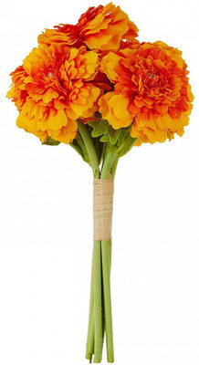 Mozette Exotic marigold orange Seed(11 per packet)