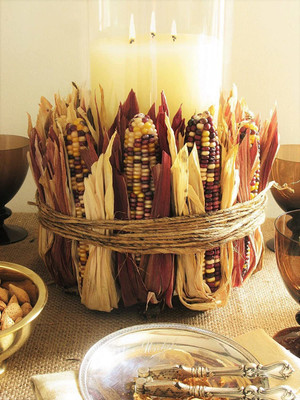 VibeX ® XLR-354 Rainbow Indian Corn Seeds Seed(500 per packet)