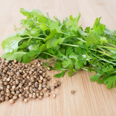 CEZIUS Seeds for Sowing Purpose Coriander organic-b6N Seed(190 per packet)